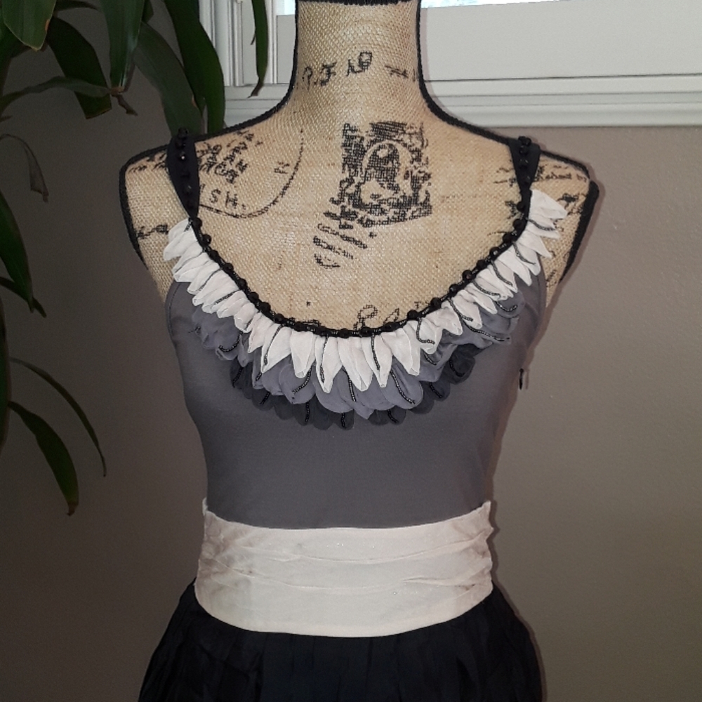 NWOT, Anthropologie Yoana Baraschi Vintage Fit & Flare dress - Picture 3 of 14